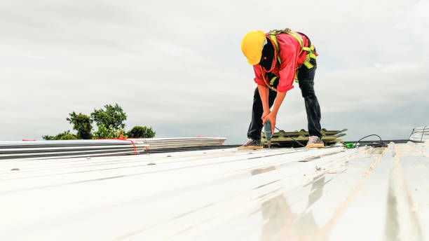 Best Skylight Installation and Repair  in Shil, OH